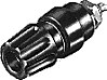 PKNI 10 B SCHWARZ Polklemme schwarz
